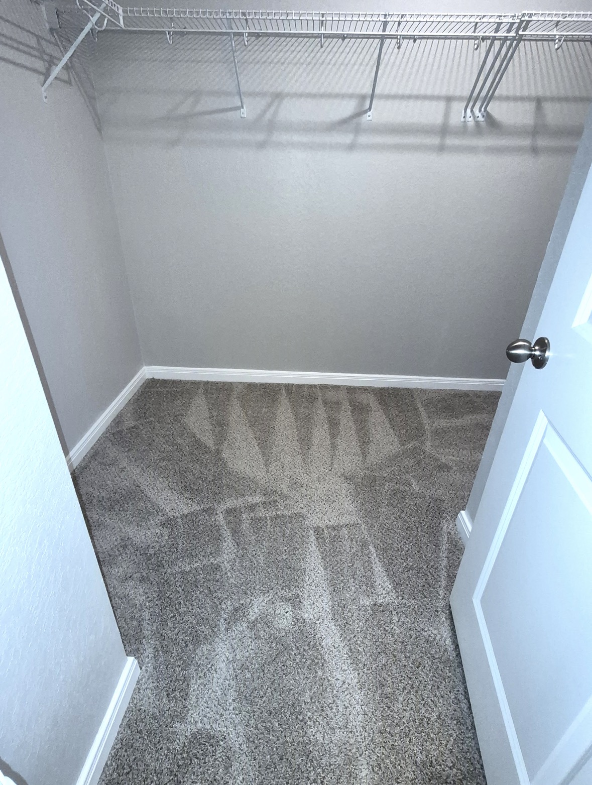 Carpet after vacuuming